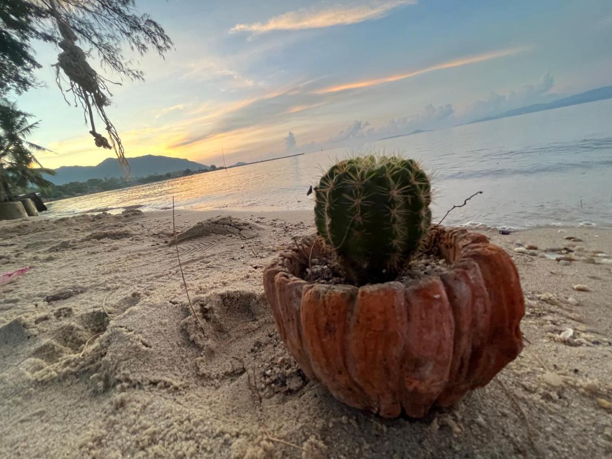 Phangan Dream Box Hotel Baan Tai Luaran gambar